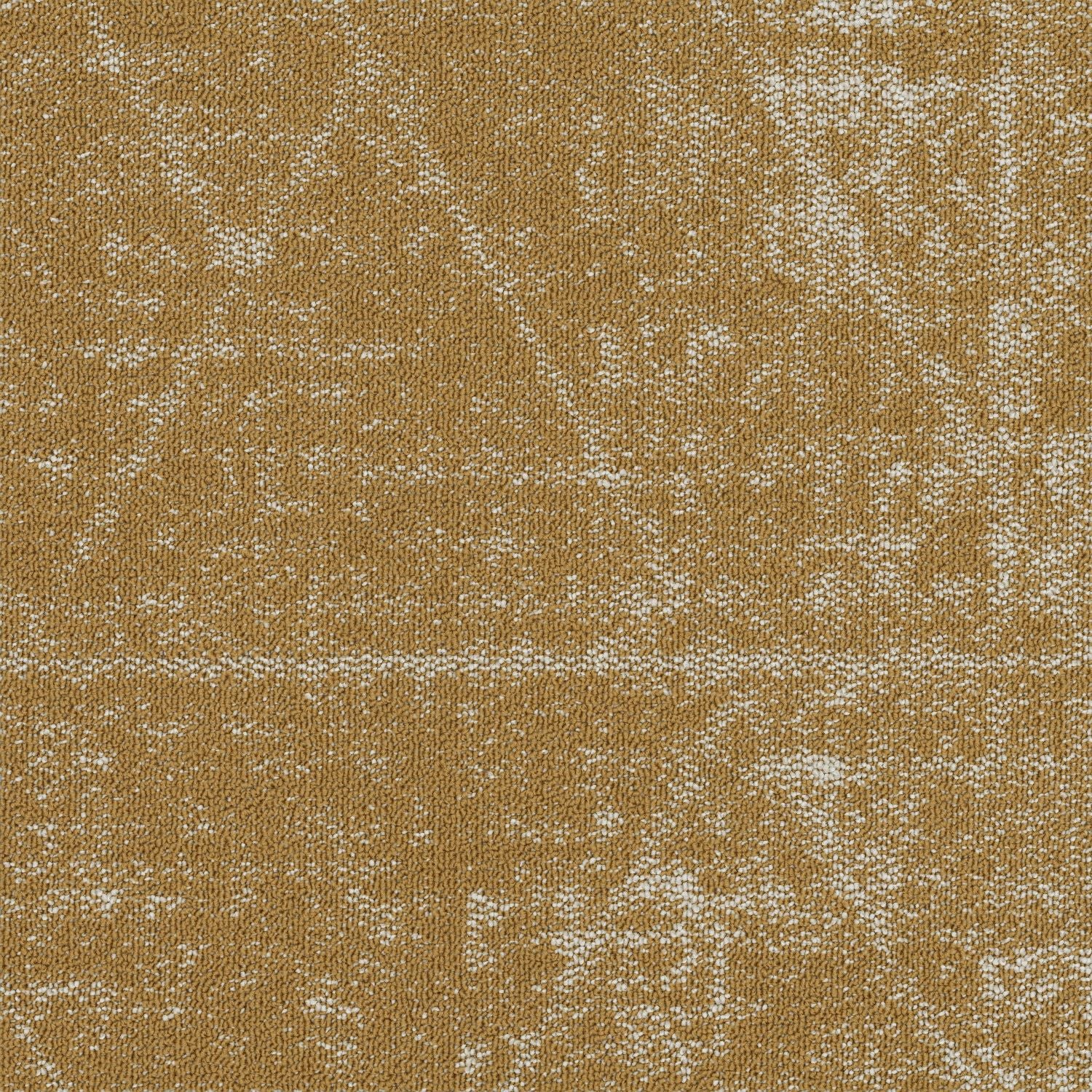 Shaw® Floor Architecture III | Formation