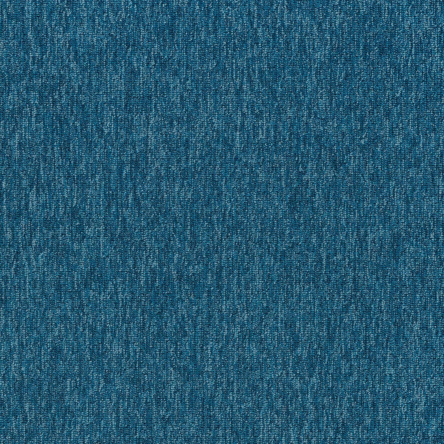 Shaw® Auxiliary | Complement