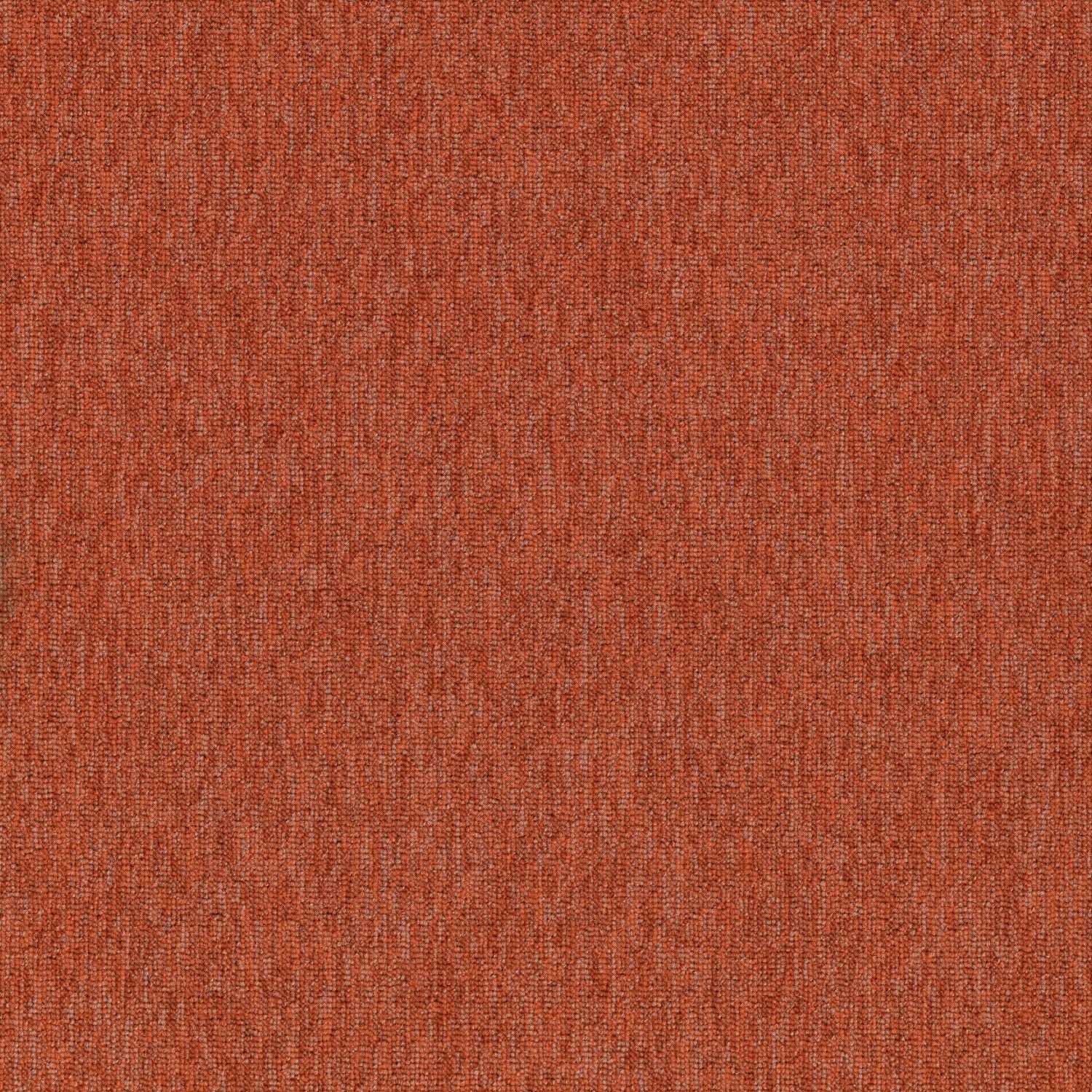 Shaw® Auxiliary | Complement