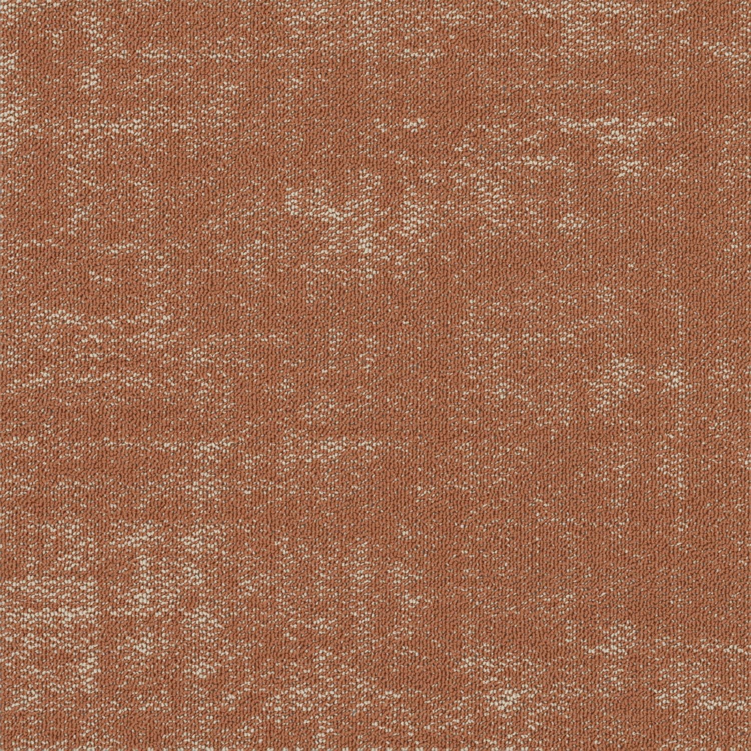 Shaw® Floor Architecture III | Fragment