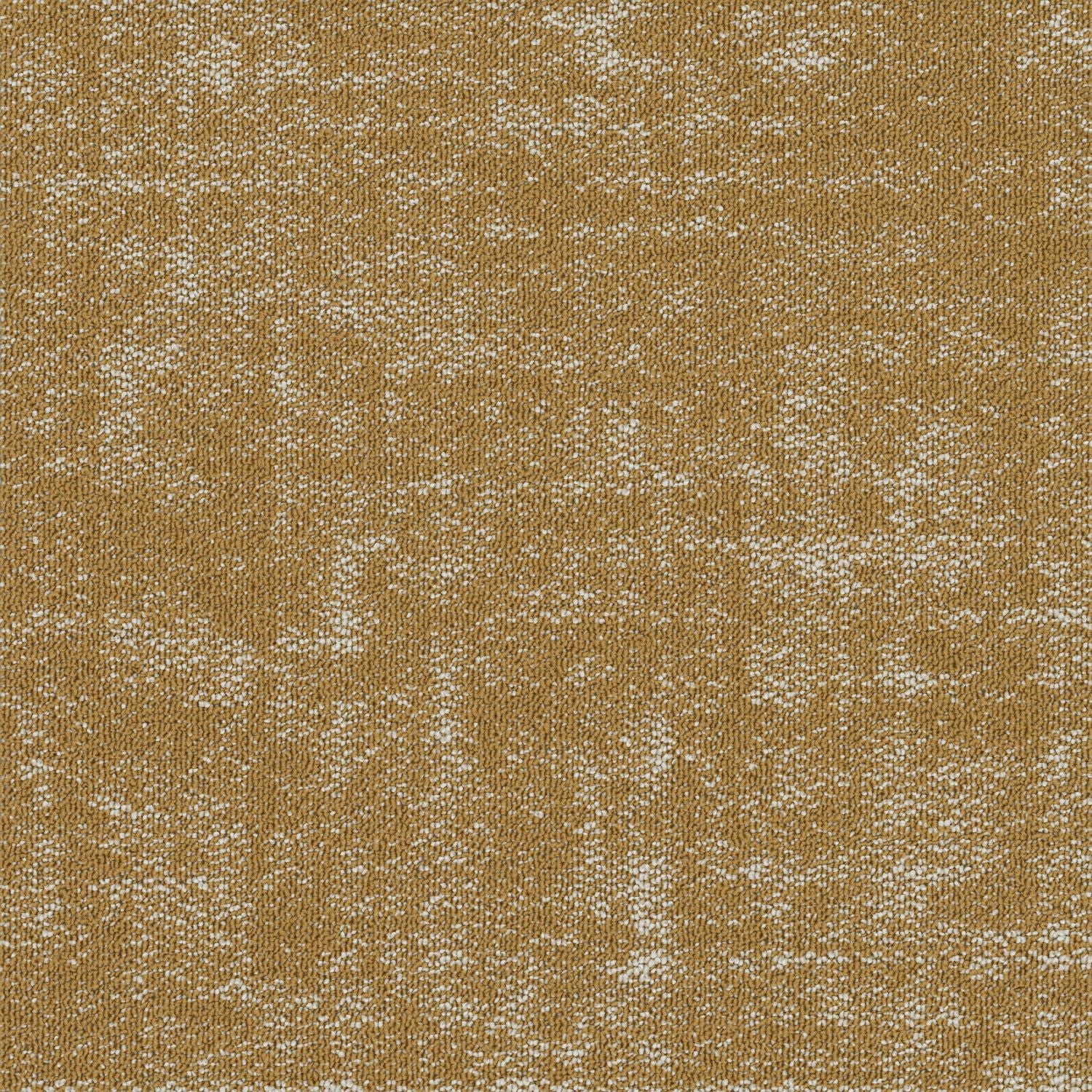 Shaw® Floor Architecture III | Fragment