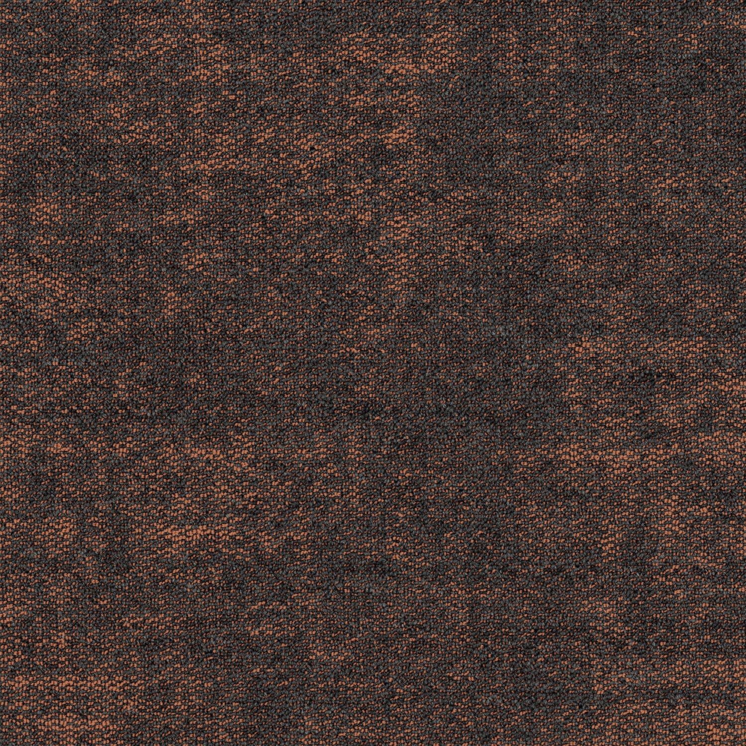 Shaw® Floor Architecture III | Fragment