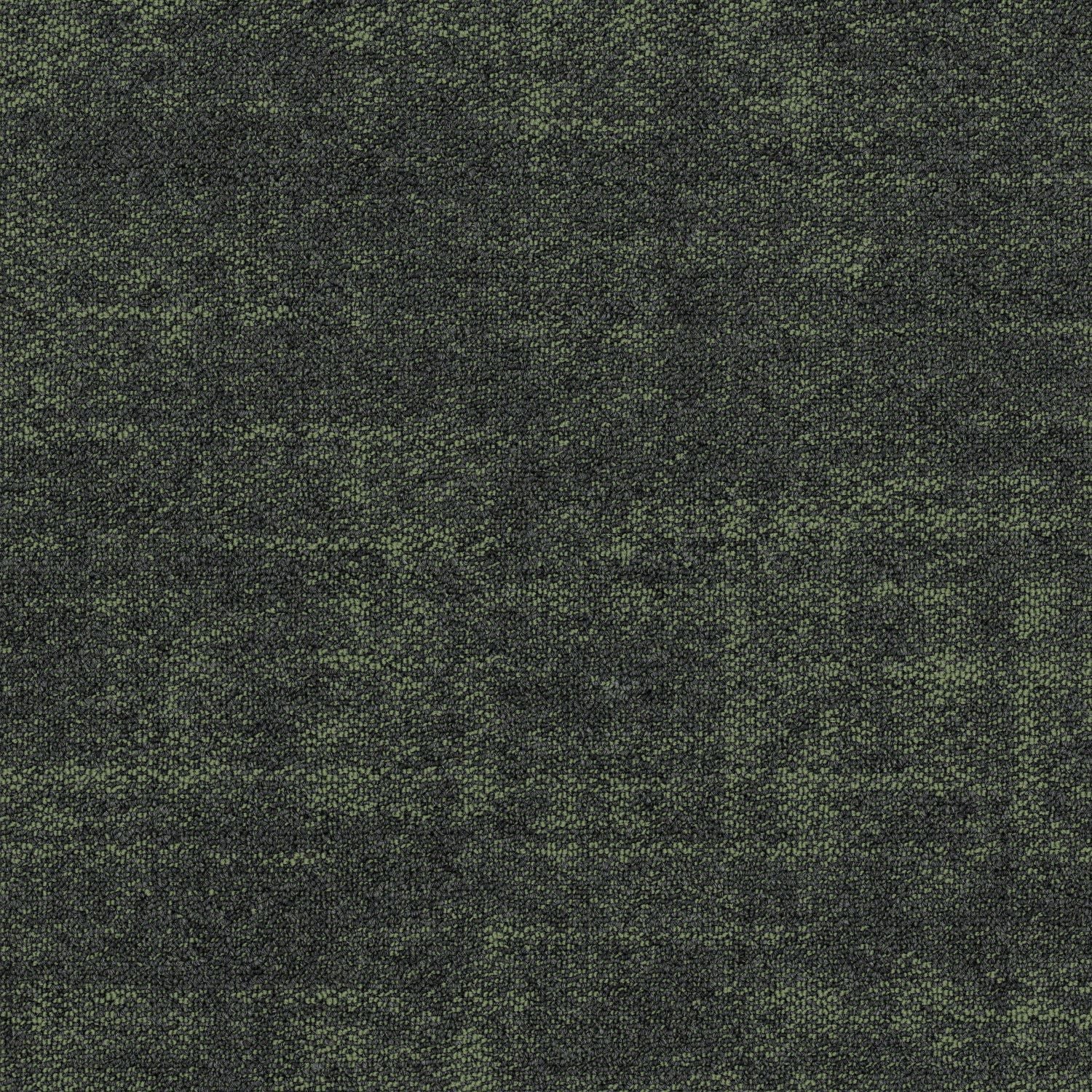 Shaw® Floor Architecture III | Fragment