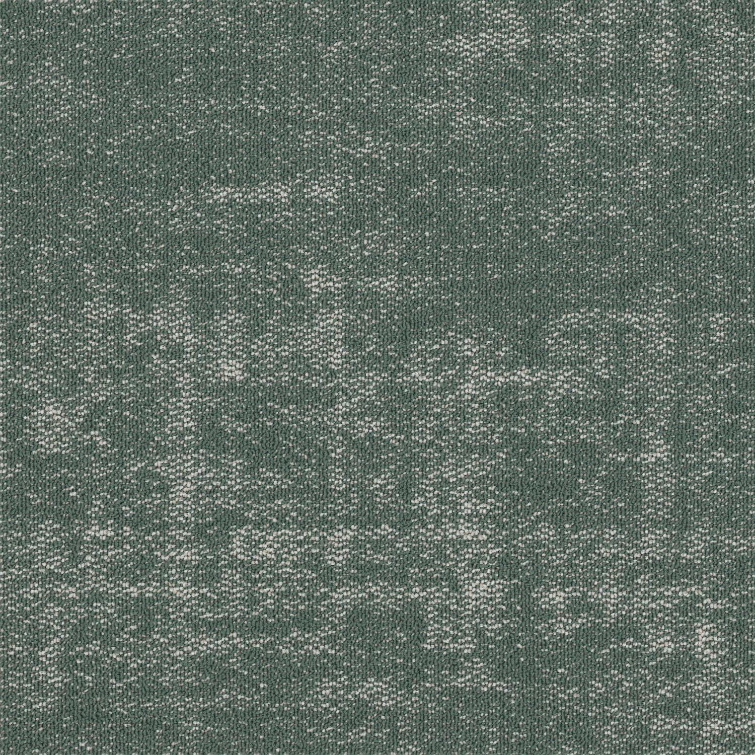 Shaw® Floor Architecture III | Fragment
