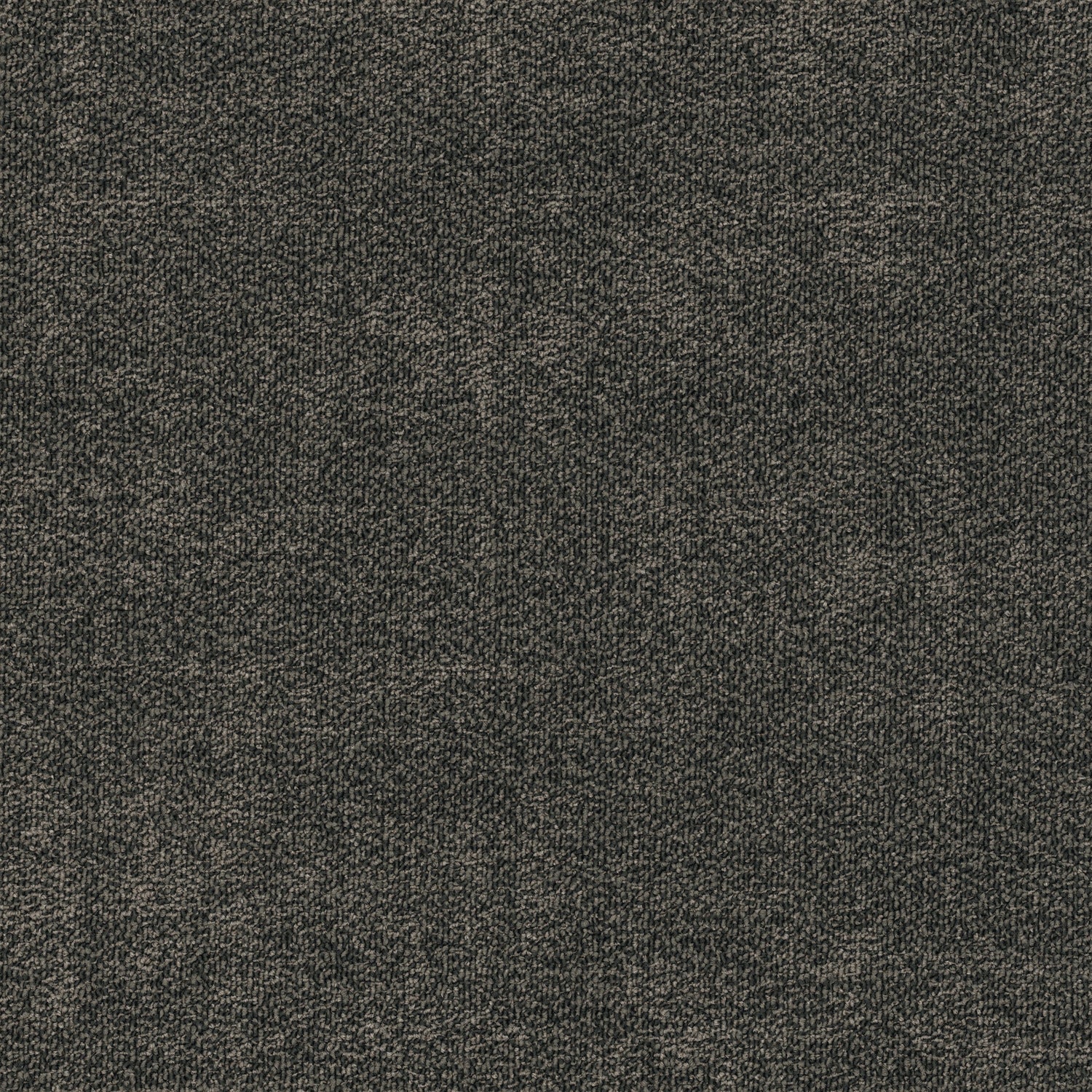 Shaw® Floor Architecture III | Fragment