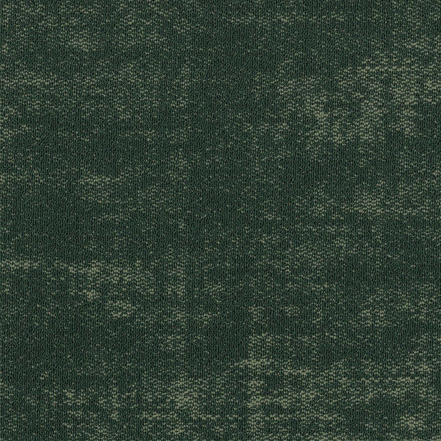 Shaw® Floor Architecture III | Fragment