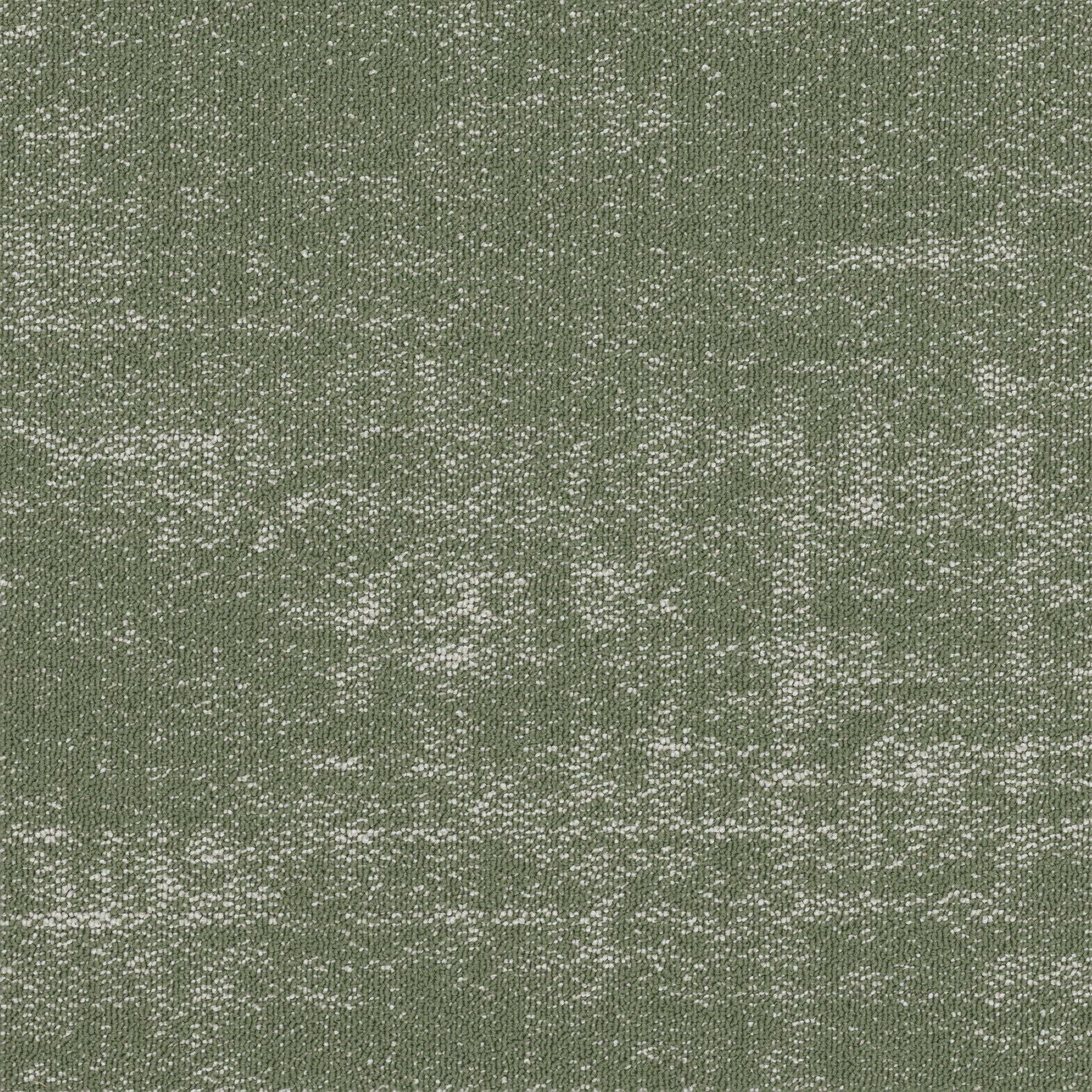 Shaw® Floor Architecture III | Fragment