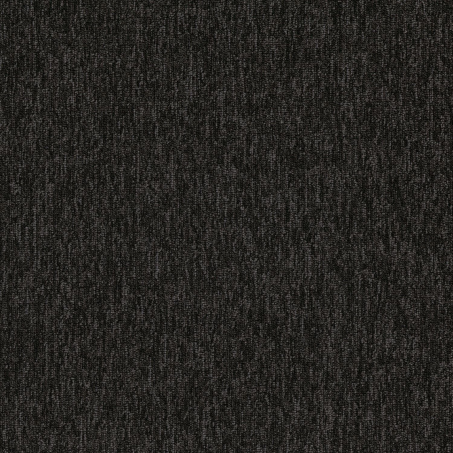 Shaw® Auxiliary | Complement