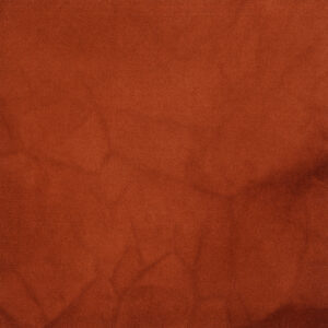 Shaw® Dye Lab