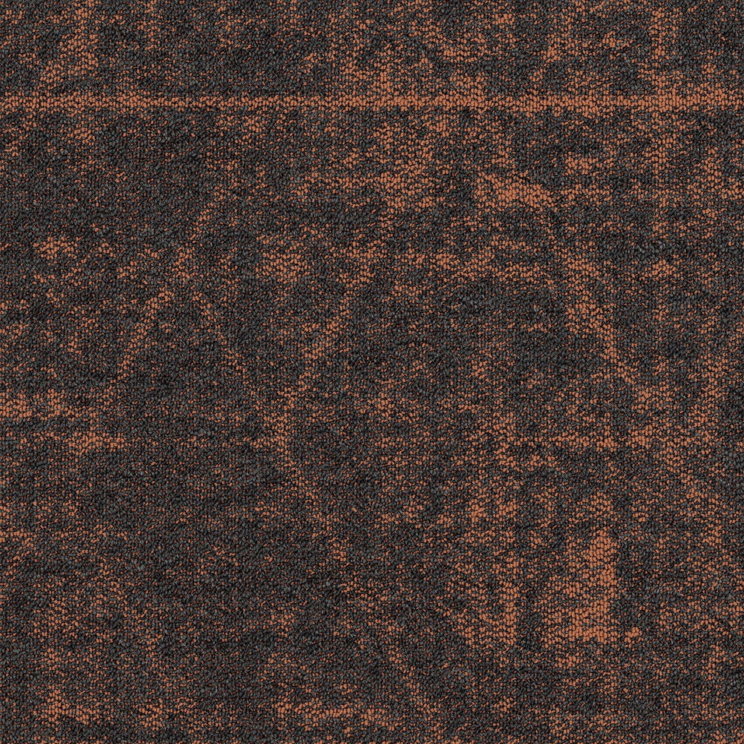 Shaw® Floor Architecture III | Formation