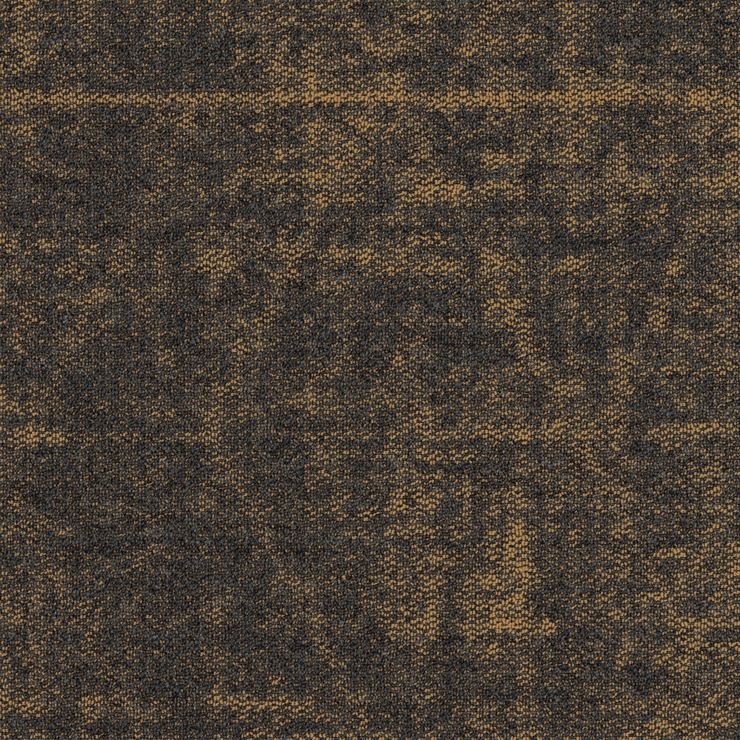 Shaw® Floor Architecture III | Formation