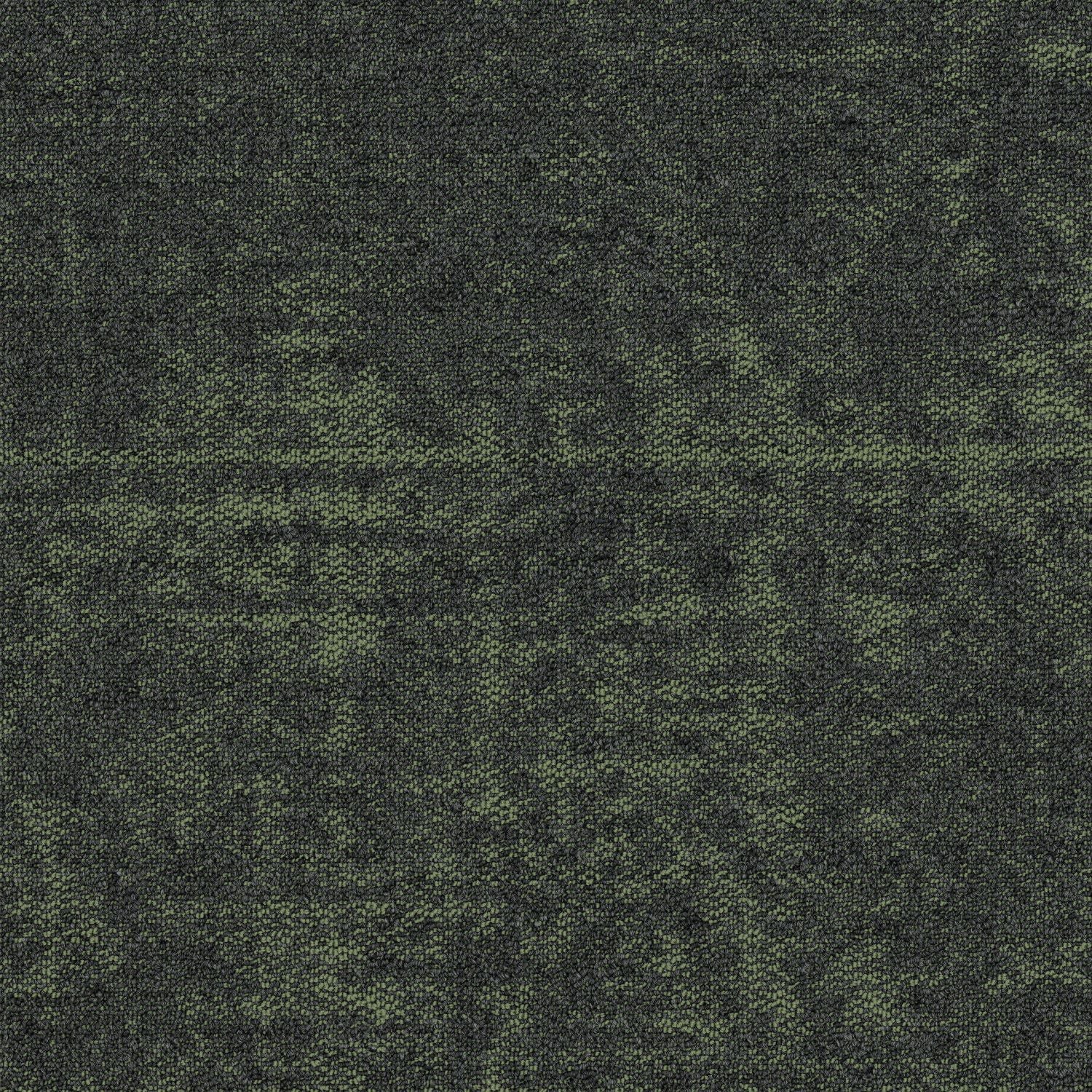 Shaw® Floor Architecture III | Formation