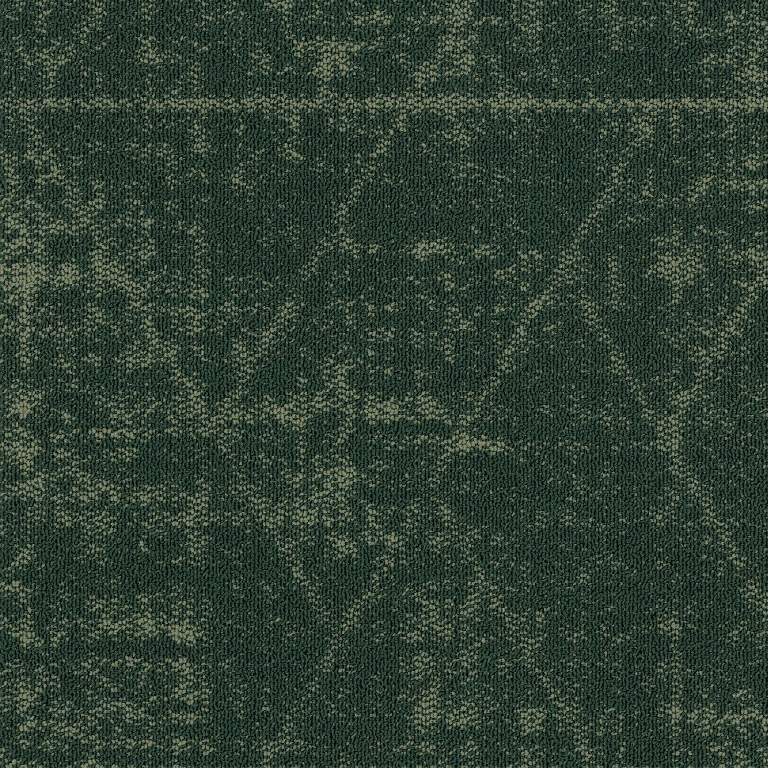 Shaw® Floor Architecture III | Formation