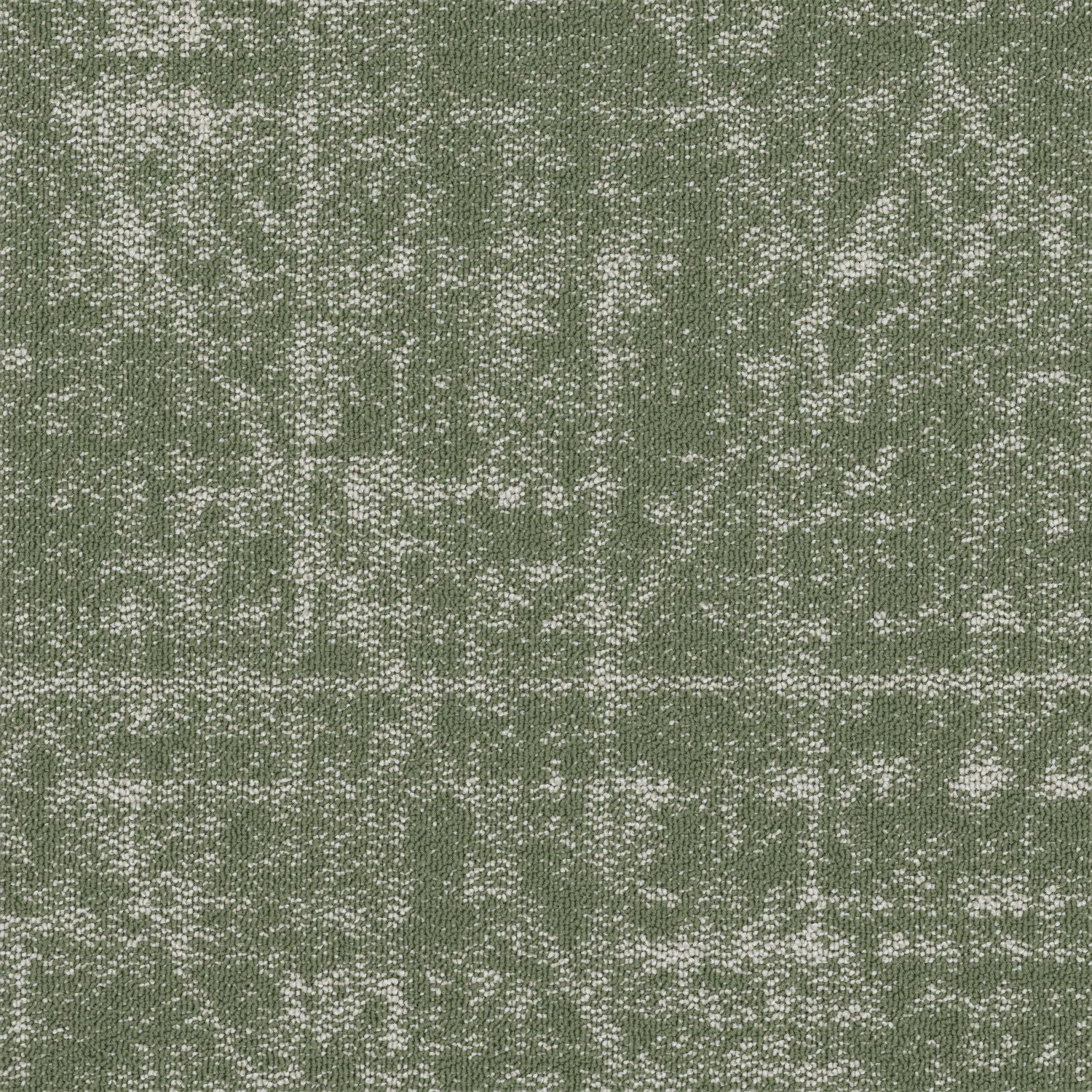 Shaw® Floor Architecture III | Formation