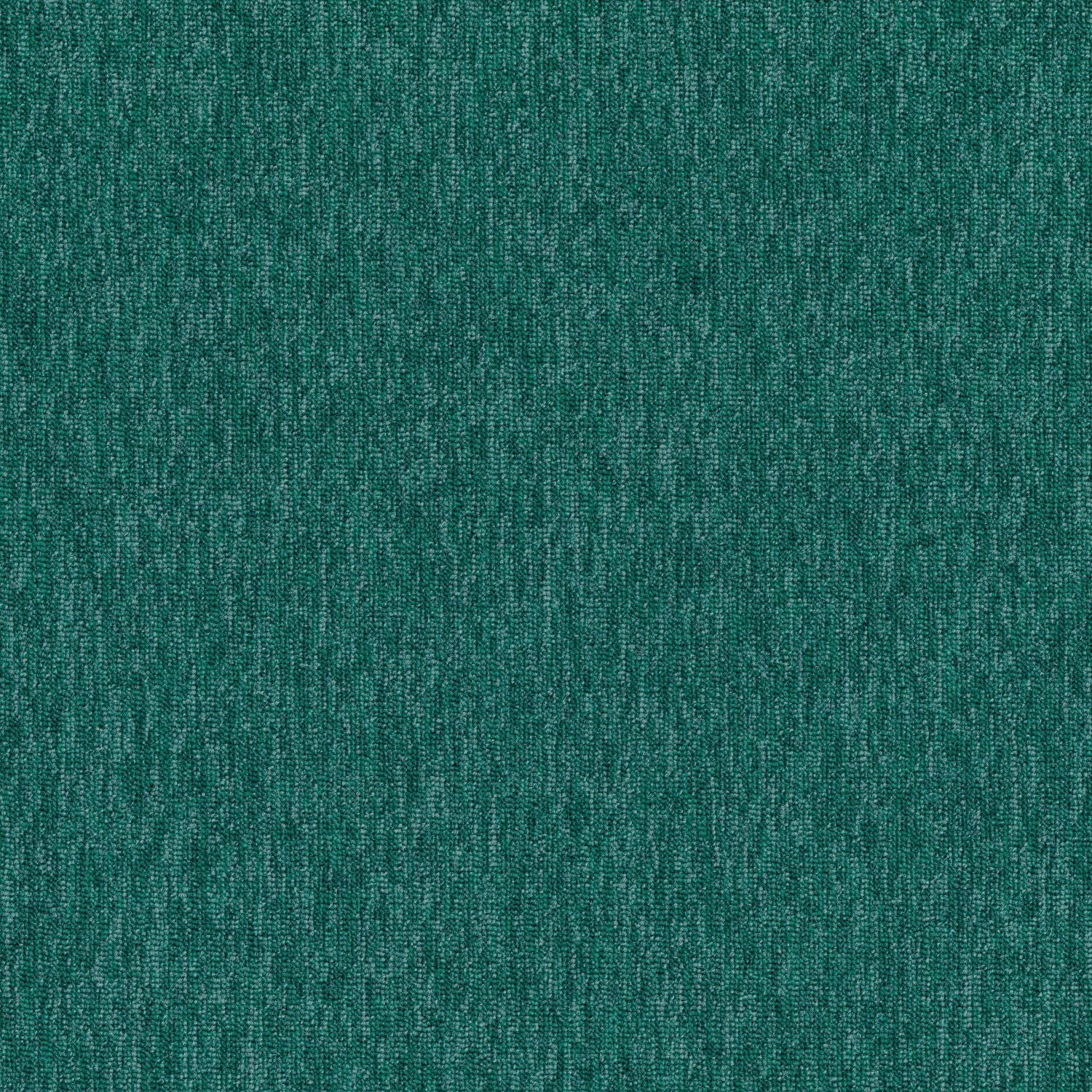 Shaw® Auxiliary | Complement