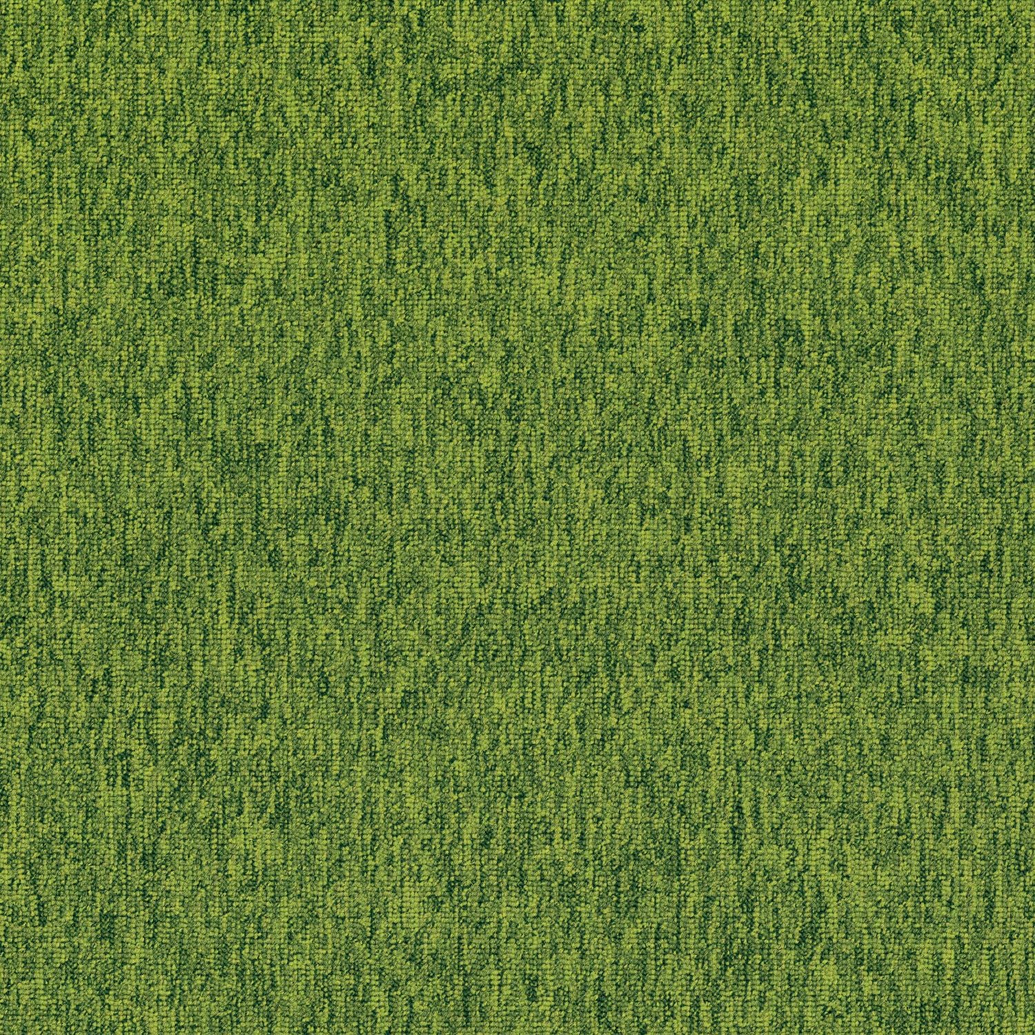 Shaw® Auxiliary | Complement